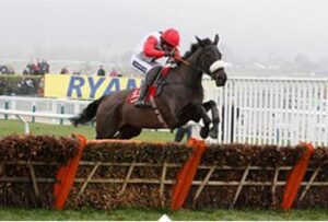 Cheltenham Festival The Venue 2025_page5_image5