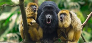 JUAN CARLOS MUÑOZ ROBREDO