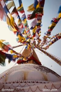 image00153