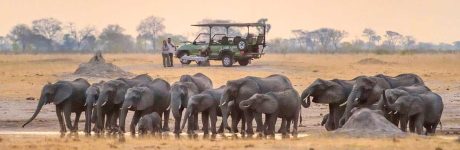 10-ZIMBAB-hwange-national-park-game-drive-safari-zimbabwe-scaled-1