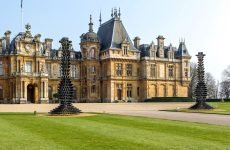 The_Manor